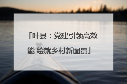 叶县：党建引领高效能 绘就乡村新图景