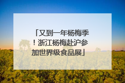 又到一年杨梅季！浙江杨梅赴沪参加世界级食品展