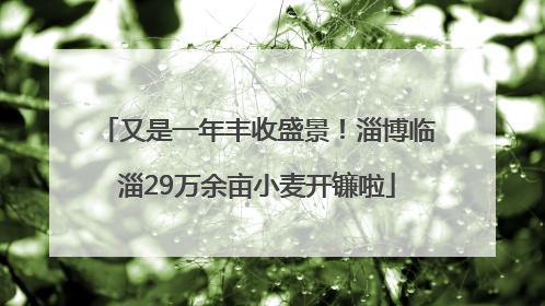 又是一年丰收盛景！淄博临淄29万余亩小麦开镰啦