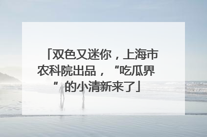 双色又迷你，上海市农科院出品，“吃瓜界”的小清新来了