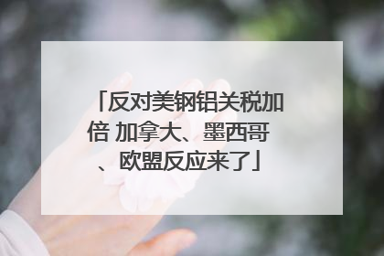 反对美钢铝关税加倍 加拿大、墨西哥、欧盟反应来了