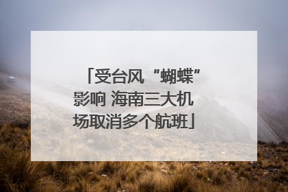 受台风“蝴蝶”影响 海南三大机场取消多个航班