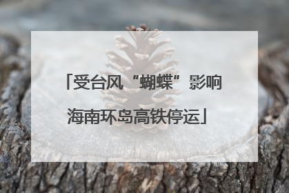 受台风“蝴蝶”影响 海南环岛高铁停运