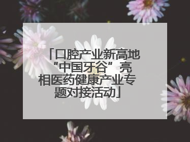 口腔产业新高地 “中国牙谷”亮相医药健康产业专题对接活动