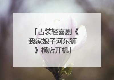 古装轻喜剧《我家娘子河东狮》横店开机