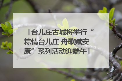 台儿庄古城将举行“粽情台儿庄 舟歌赋安康”系列活动迎端午
