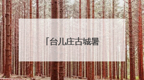 台儿庄古城暑期文旅“焕新” 四大维度解锁运河夏日奇遇