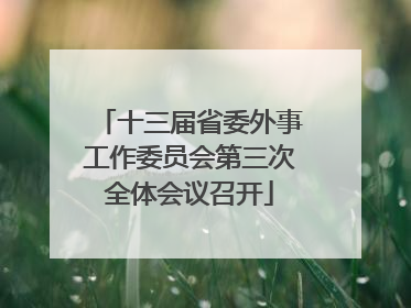 十三届省委外事工作委员会第三次全体会议召开