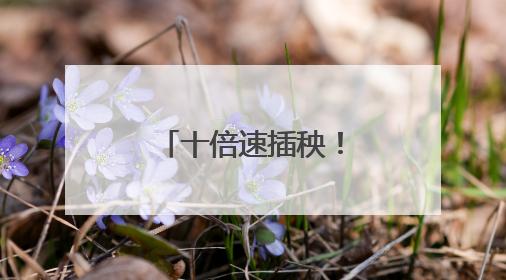 十倍速插秧！华容“铁牛”下田刷新纪录