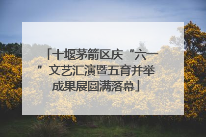 十堰茅箭区庆“六一”文艺汇演暨五育并举成果展圆满落幕