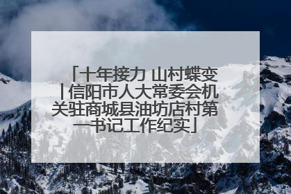 十年接力 山村蝶变│信阳市人大常委会机关驻商城县油坊店村第一书记工作纪实