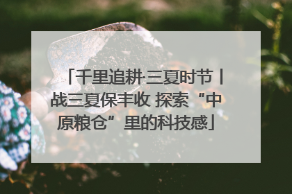 千里追耕·三夏时节丨战三夏保丰收 探索“中原粮仓”里的科技感