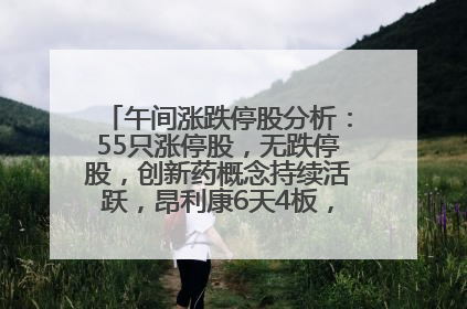 午间涨跌停股分析：55只涨停股，无跌停股，创新药概念持续活跃，昂利康6天4板，众生药业2连板