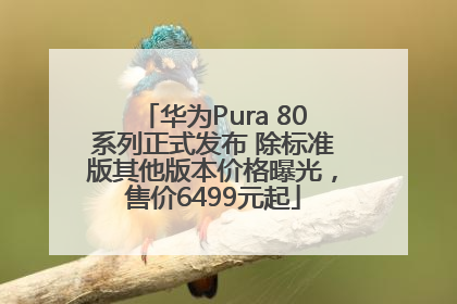 华为Pura 80系列正式发布 除标准版其他版本价格曝光，售价6499元起