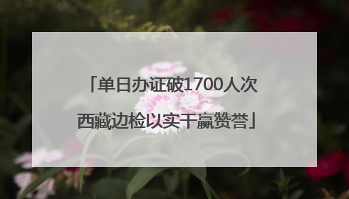 单日办证破1700人次 西藏边检以实干赢赞誉