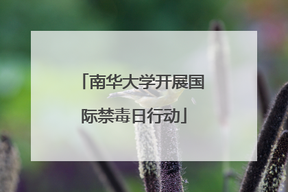 南华大学开展国际禁毒日行动