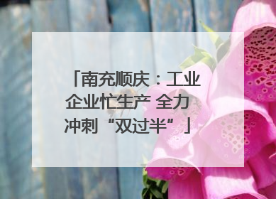 南充顺庆：工业企业忙生产 全力冲刺“双过半”