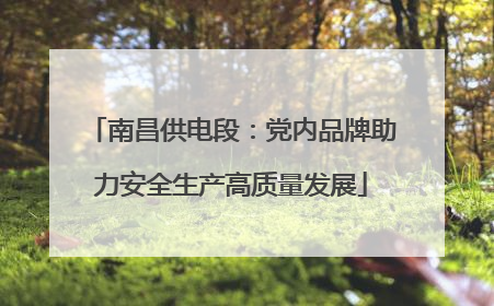 南昌供电段：党内品牌助力安全生产高质量发展
