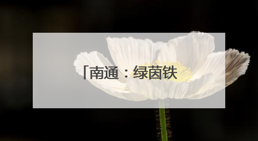 南通：绿茵铁血，文教沃土
