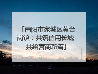 南阳市宛城区黄台岗镇：共筑信用长城 共绘营商新篇