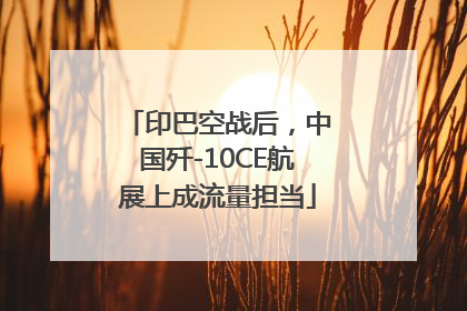 印巴空战后，中国歼-10CE航展上成流量担当