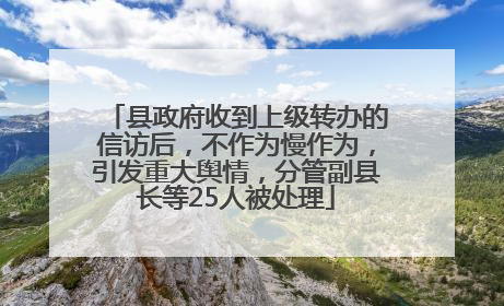 县政府收到上级转办的信访后，不作为慢作为，引发重大舆情，分管副县长等25人被处理