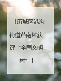 历城区港沟街道芦南村获评“全国文明村”