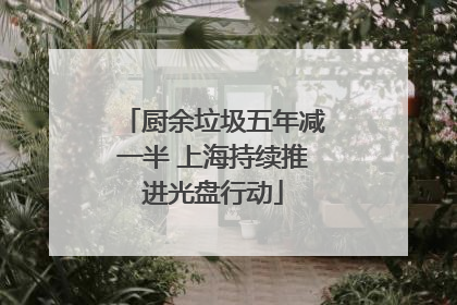 厨余垃圾五年减一半 上海持续推进光盘行动