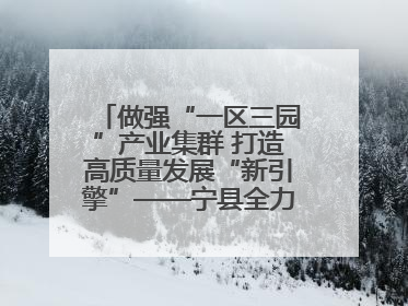 做强“一区三园”产业集群 打造高质量发展“新引擎”——宁县全力推动工业经济提质增效