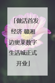 做活首发经济 赣湘边奥莱数字生活城正式开业