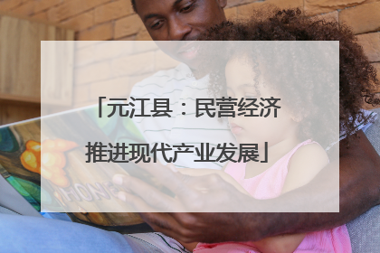 元江县：民营经济推进现代产业发展