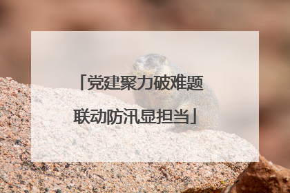 党建聚力破难题 联动防汛显担当
