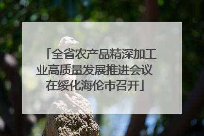 全省农产品精深加工业高质量发展推进会议在绥化海伦市召开