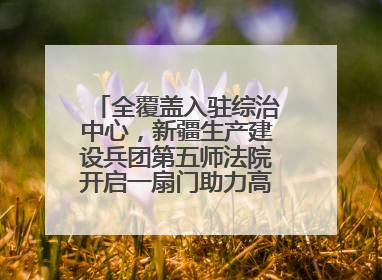 全覆盖入驻综治中心，新疆生产建设兵团第五师法院开启一扇门助力高速讨薪获赞