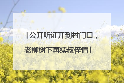 公开听证开到村门口，老柳树下再续叔侄情