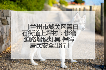 兰州市城关区青白石街道上坪村：修缮道路增设灯具 保障居民安全出行