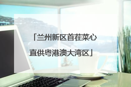 兰州新区首茬菜心直供粤港澳大湾区
