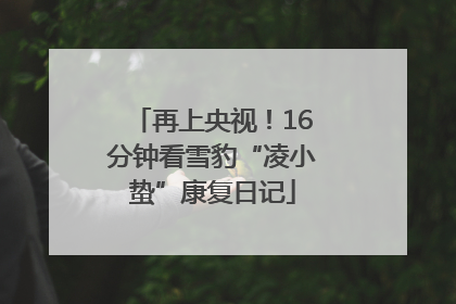 再上央视！16分钟看雪豹“凌小蛰”康复日记
