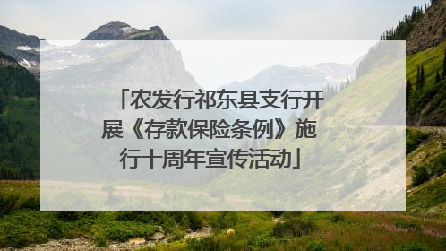 农发行祁东县支行开展《存款保险条例》施行十周年宣传活动
