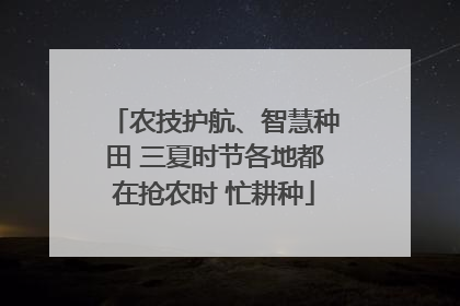 农技护航、智慧种田 三夏时节各地都在抢农时 忙耕种