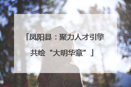 凤阳县：聚力人才引擎 共绘“大明华章”
