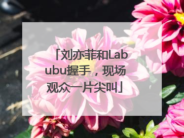 刘亦菲和Labubu握手，现场观众一片尖叫