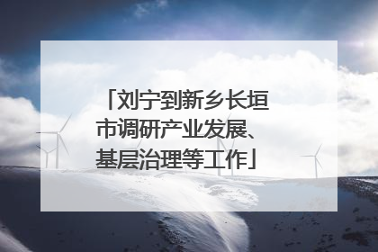 刘宁到新乡长垣市调研产业发展、基层治理等工作
