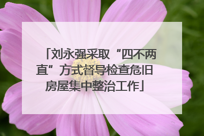 刘永强采取“四不两直”方式督导检查危旧房屋集中整治工作