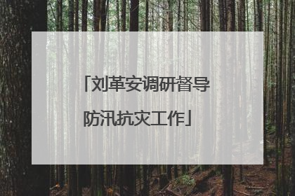 刘革安调研督导防汛抗灾工作