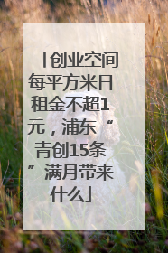 创业空间每平方米日租金不超1元，浦东“青创15条”满月带来什么