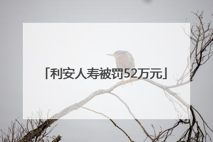 利安人寿被罚52万元