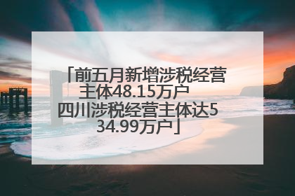 前五月新增涉税经营主体48.15万户 四川涉税经营主体达534.99万户