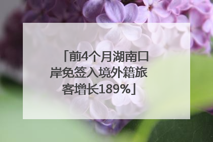 前4个月湖南口岸免签入境外籍旅客增长189%