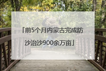 前5个月内蒙古完成防沙治沙900余万亩